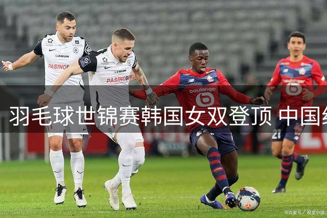 羽毛球世锦赛韩国女双登顶 中国组合连失决赛